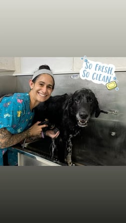 Images Champion Kennels