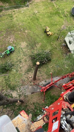 Images Magana Tree Service