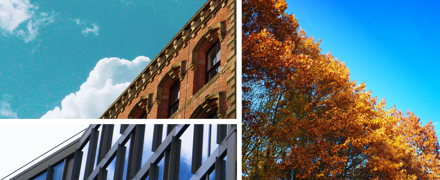 Collage of buildings and trees.