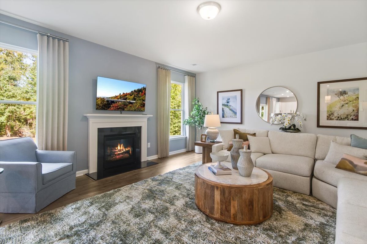 Bridgeport Single Family Homes by Stanley Martin Homes Image