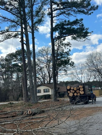 Images Dylan's Tree Services & Landscaping