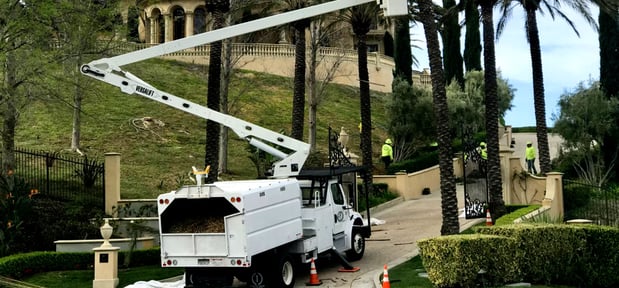 Images Newbury Park Tree Service