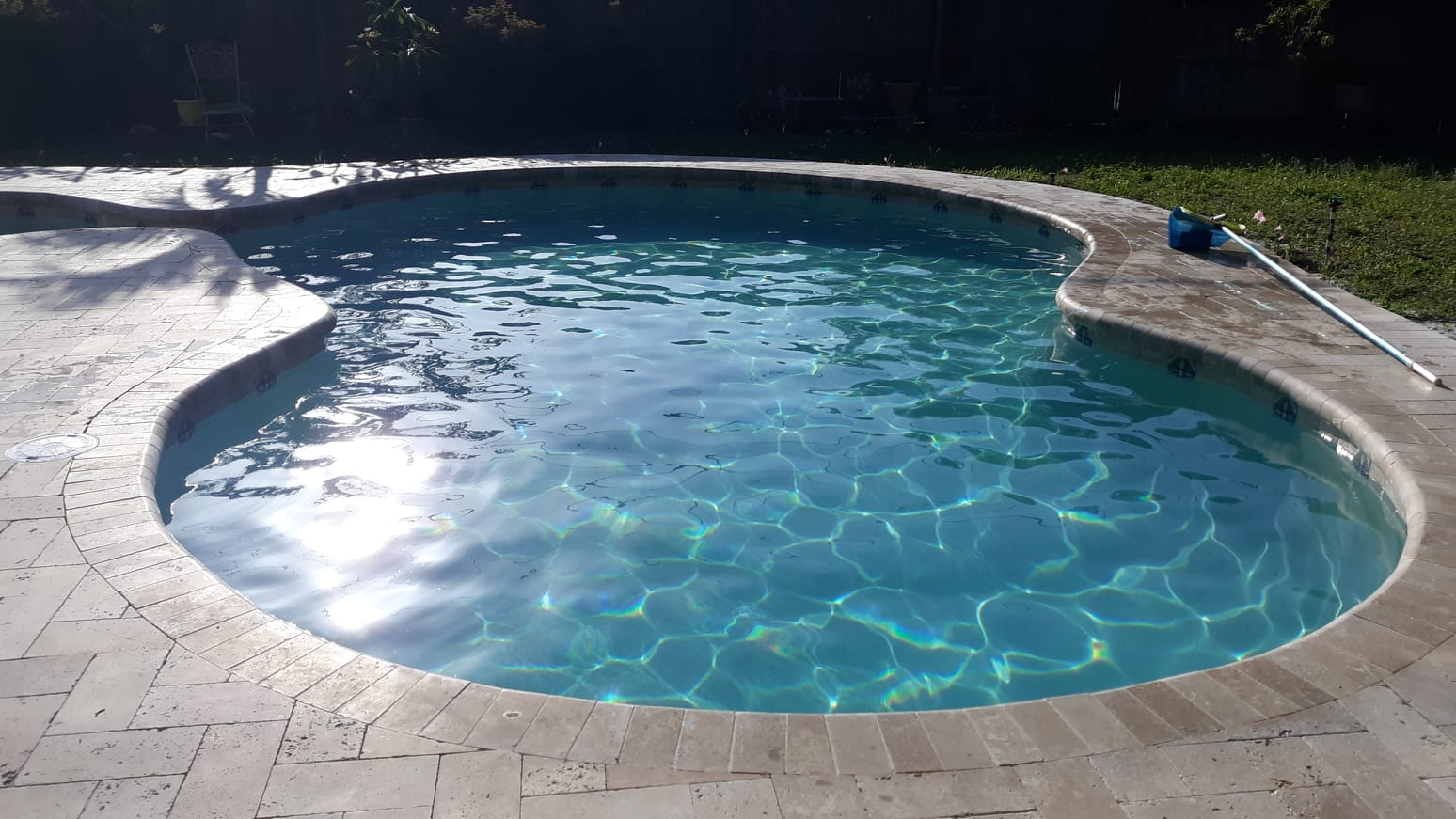 Freeform residential swimming pool with clear blue water, curved edges, and light stone paver decking.