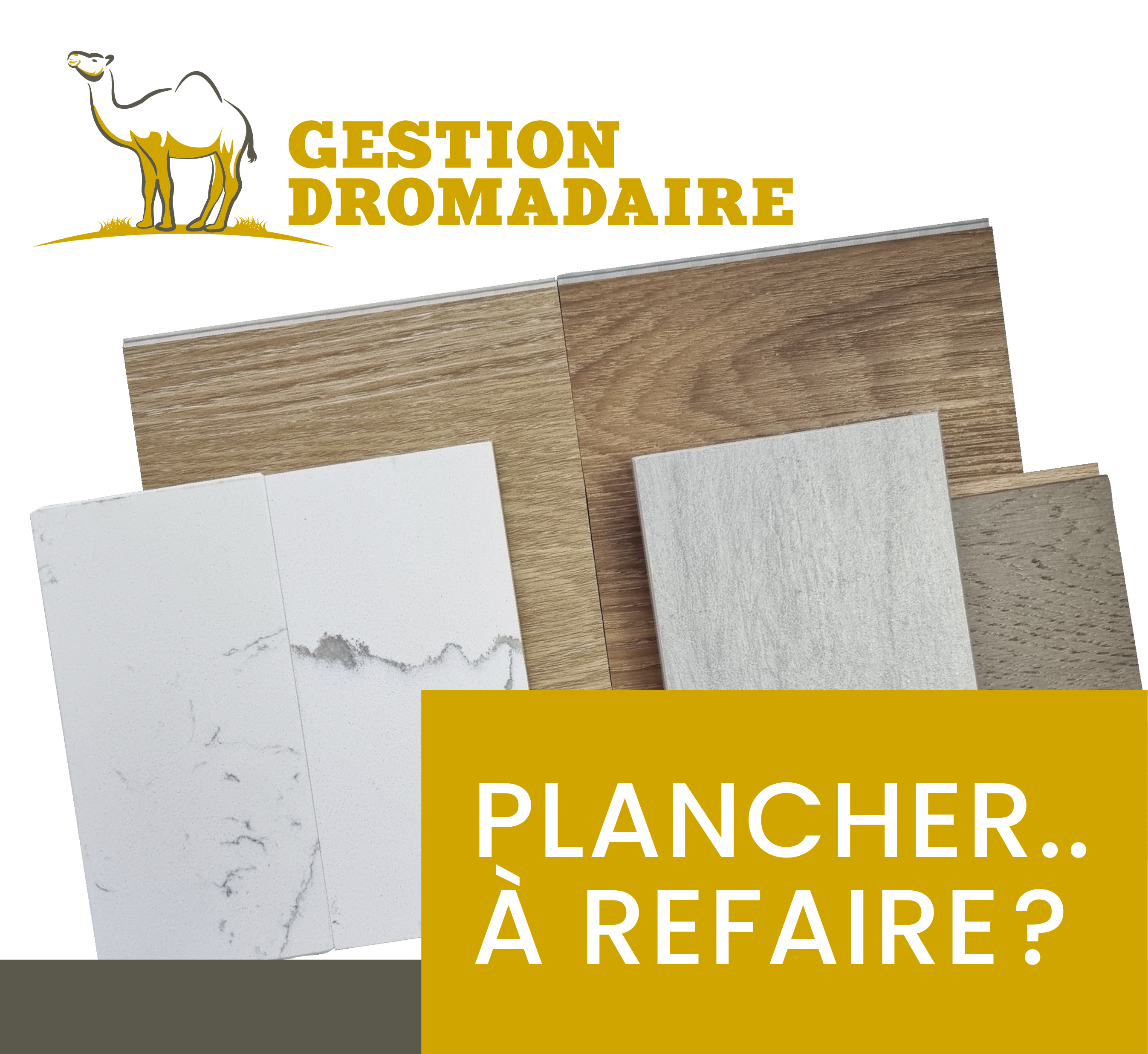 Images Gestion Dromadaire Inc