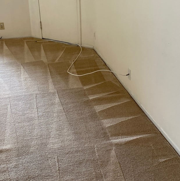 Images My Superior Carpet Cleaning