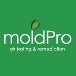MoldPro LLC Logo