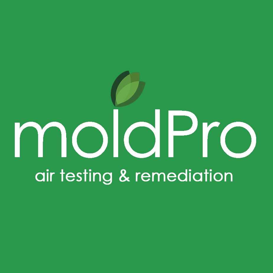 MoldPro LLC