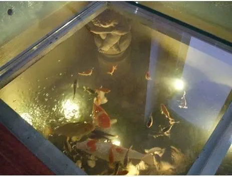 Images Aquascapes Water Feature Specialist Ltd