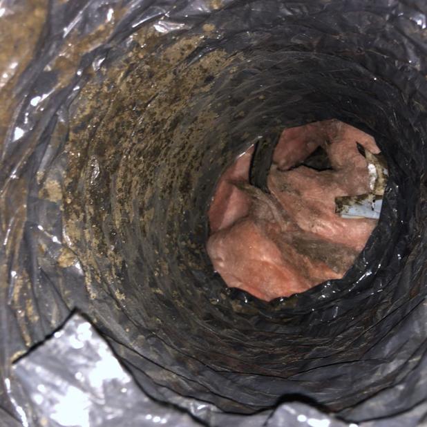 Images Bunnara Hoy - Air Duct & Dryer Vent Cleaning