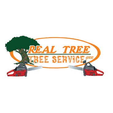 Real Tree-Tree Service Logo