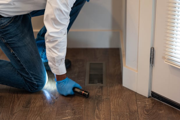 Images First Line Pest Defense