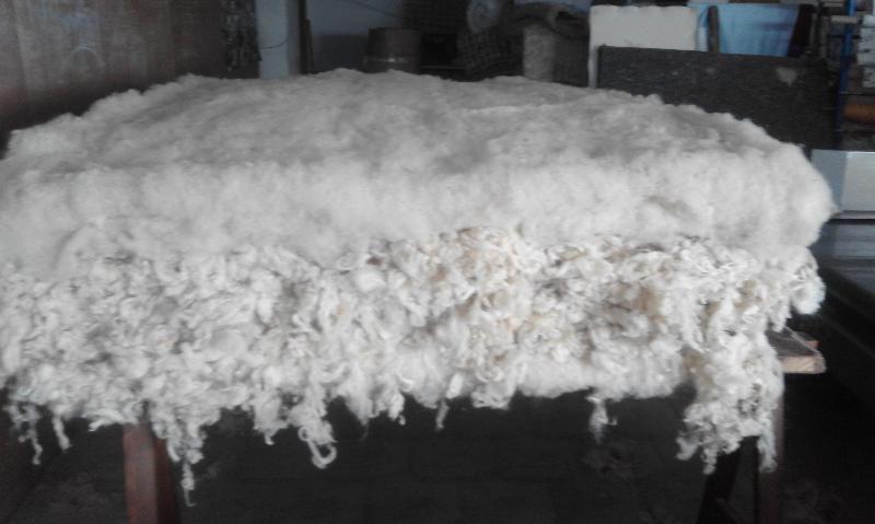 Images Pizzetti Luca Materassi e Trapunte