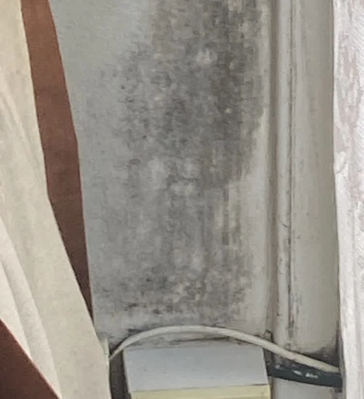 Images Housing Disrepair Experts