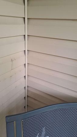 Images Semper Valeo Pest Management