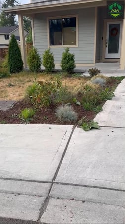 Images ALM Landscape & Construction LLC