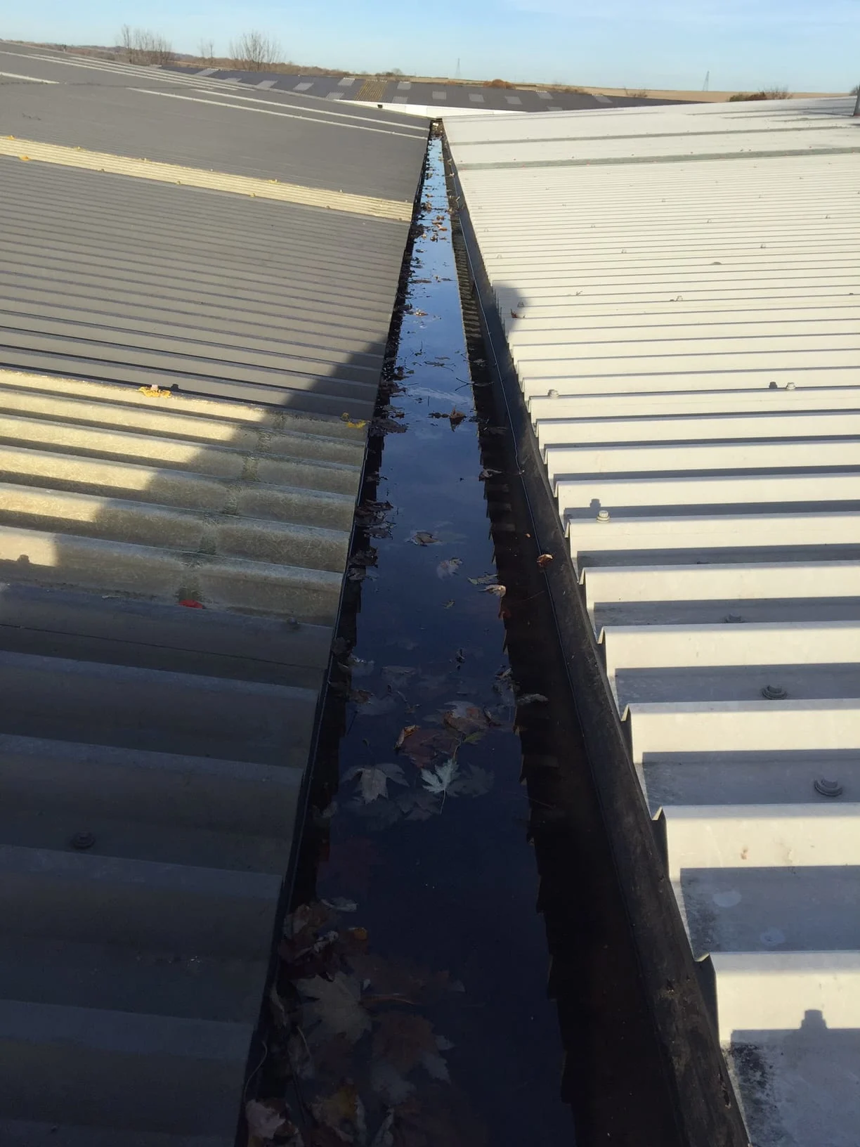 Images Guttaclean Ltd