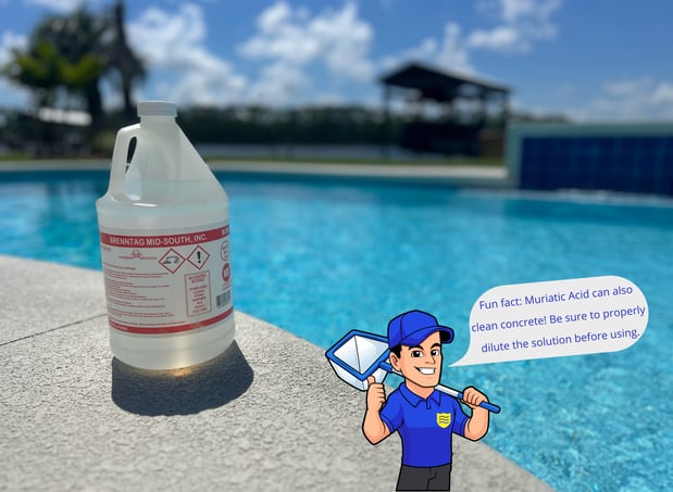 Images Swym Wyse Pool Cleaning