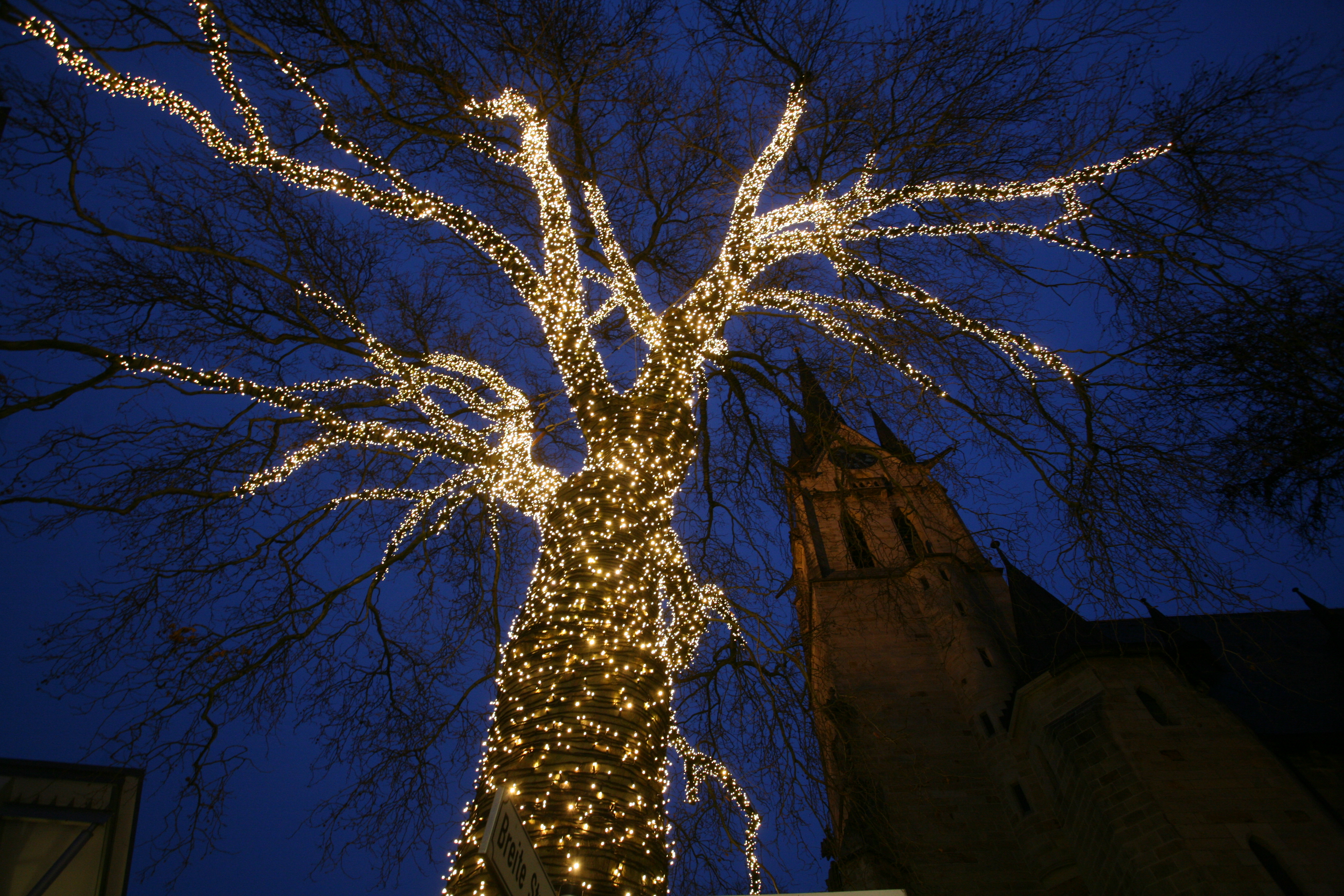 LUX MOMENTUM GmbH, Markelstrasse 15 in Berlin