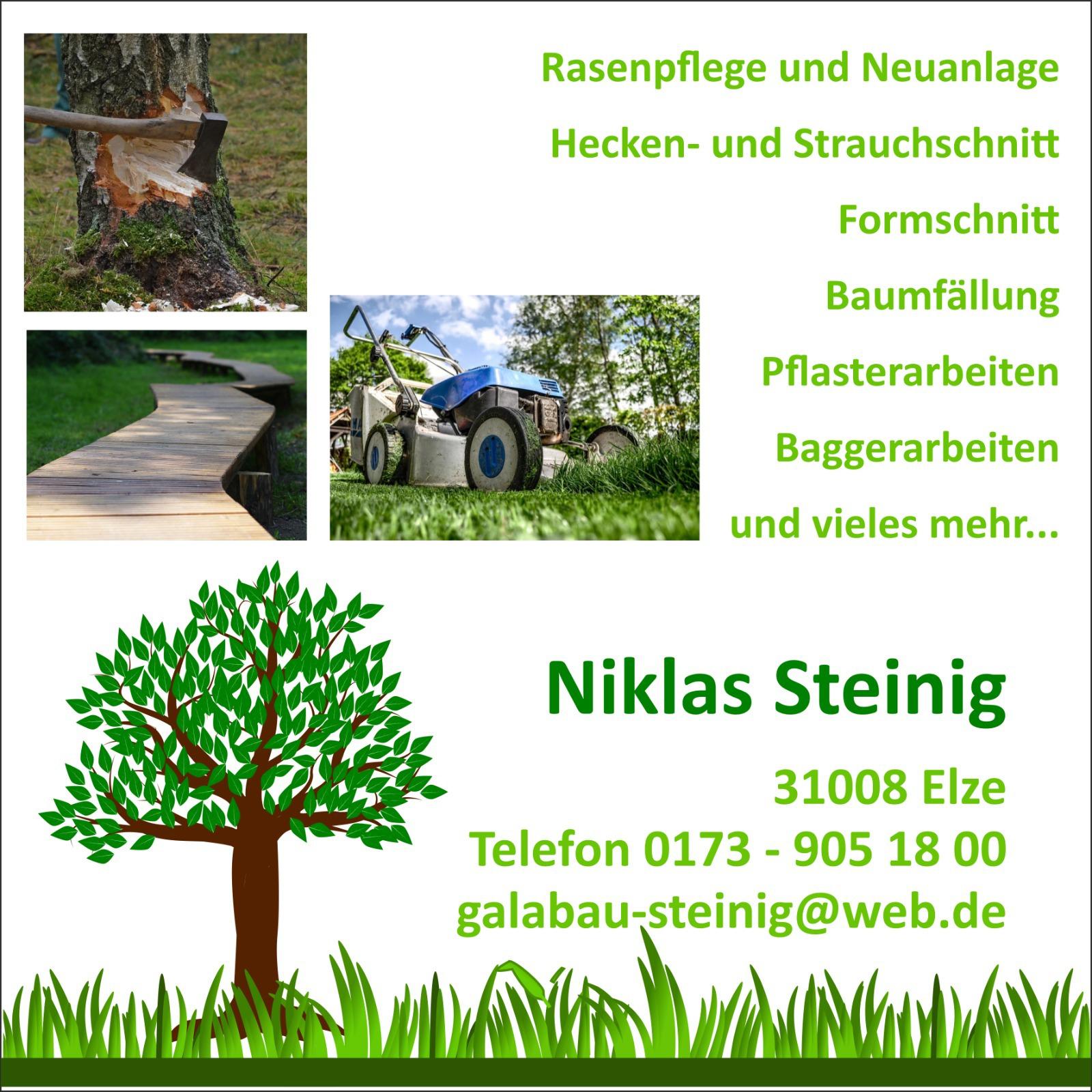 Galabau Steinig Inh. Niklas Steinig in Elze an der Leine - Logo