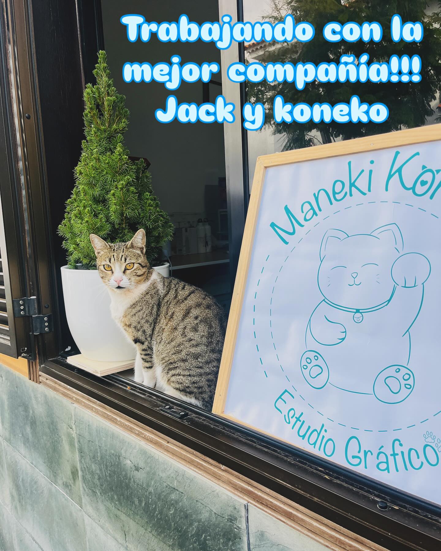 Images Maneki koneko