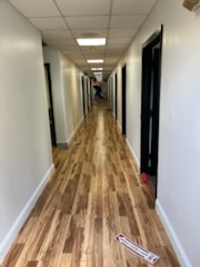 Images Arlotta Painting