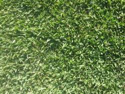 Images ABC Turf Supplies