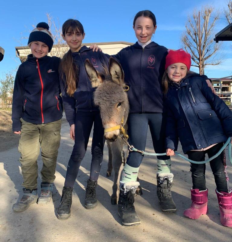 Images Asd Malpaga Equitazione