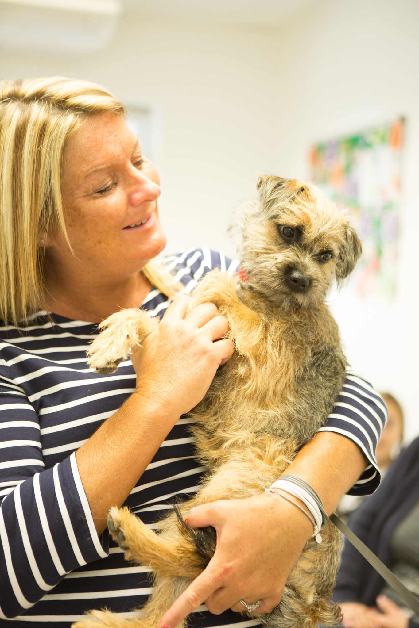 Images Streatham Hill Veterinary Surgery