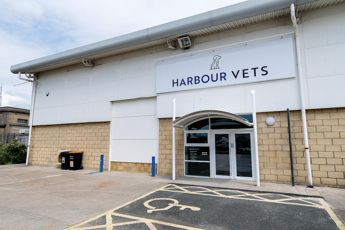 Harbour Vets exterior Harbour Veterinary Group - Southsea Portsmouth 02392 827014