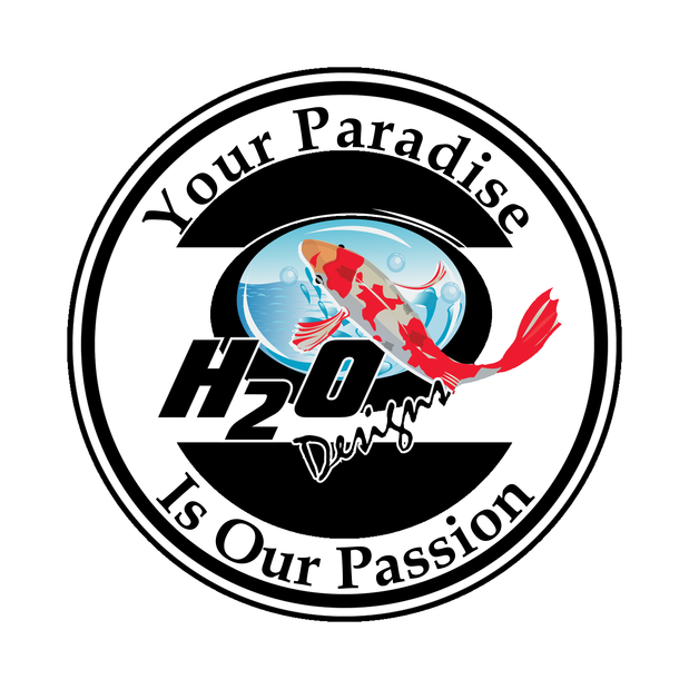 H2O Designs Logo