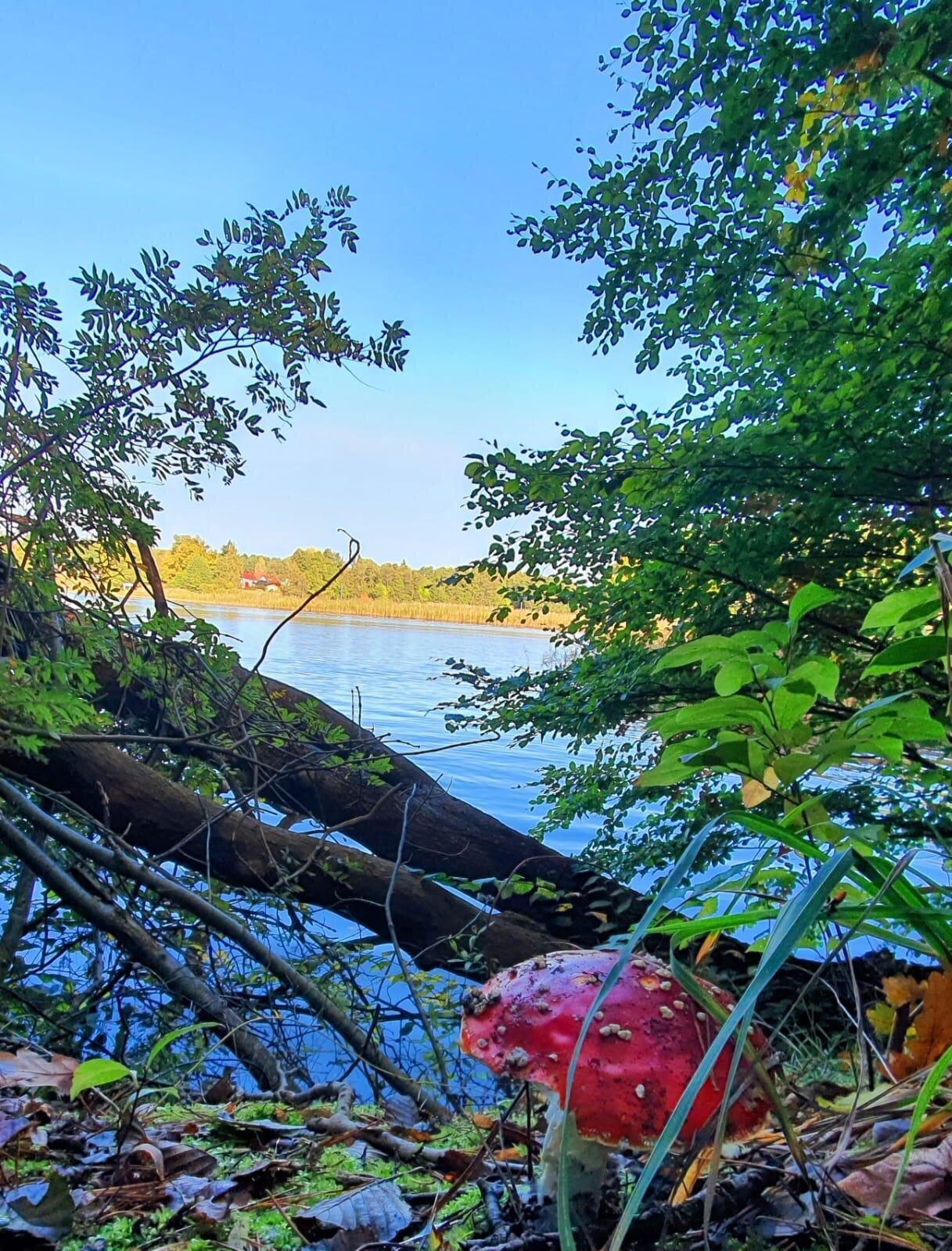 Fastenwanderzeit, Fleether Mühle 1 in Mirow