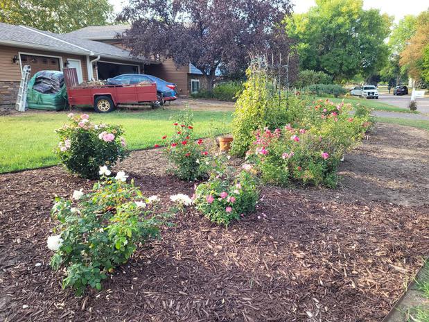 Images Hook & Ladder Lawn Services LLC