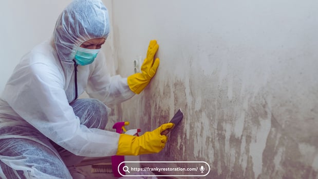 Images Mold Remediation Miami Lakes