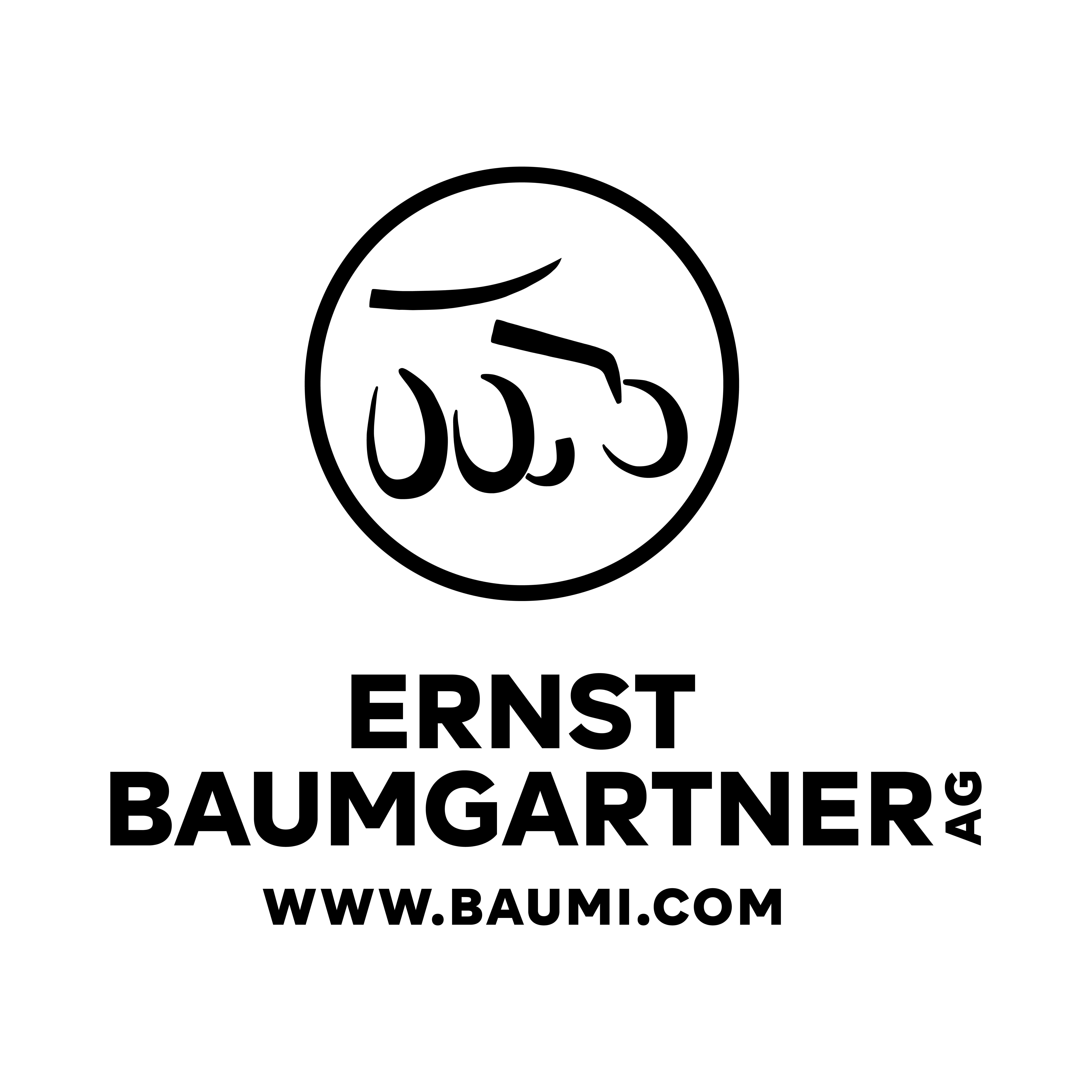 Ernst Baumgartner AG Logo