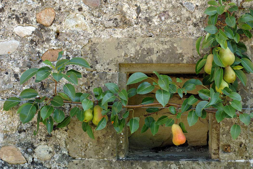 Rothenbühler Gartenbau AG, Hessweg 9 in Zollikofen