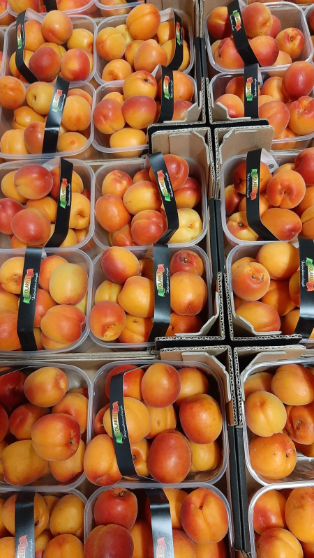 Images Il Meglio Del Meglio