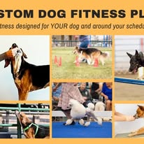 Images Paragon Pups LLC