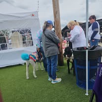 Lux Fur Pet Salon Image