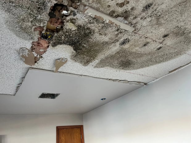 Images Midwest Mold Specialist LLC