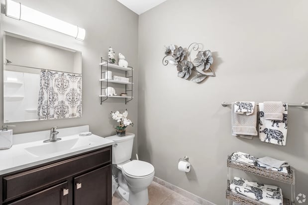 Images Lofts at 335