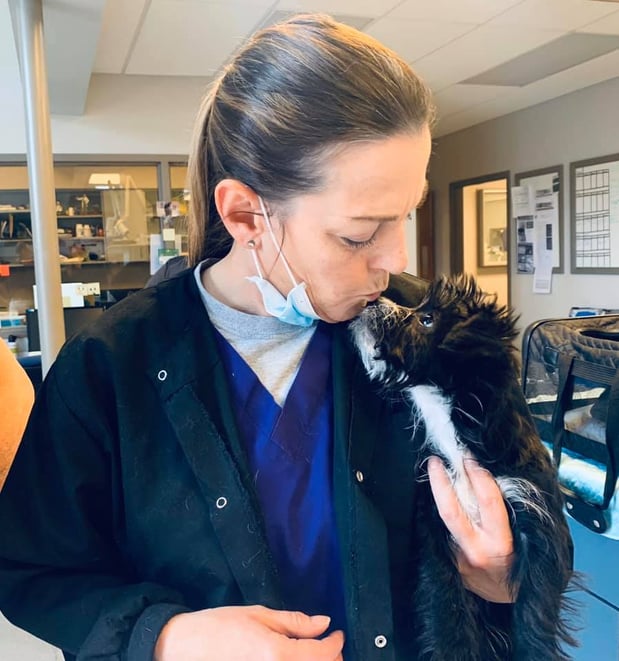 Images West Side Veterinary Hospital