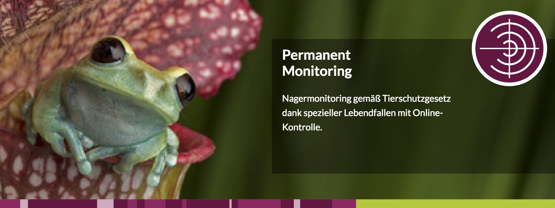 PECON PRO Siegfried Schier e.K., Talheimer Str. 32 in Flein