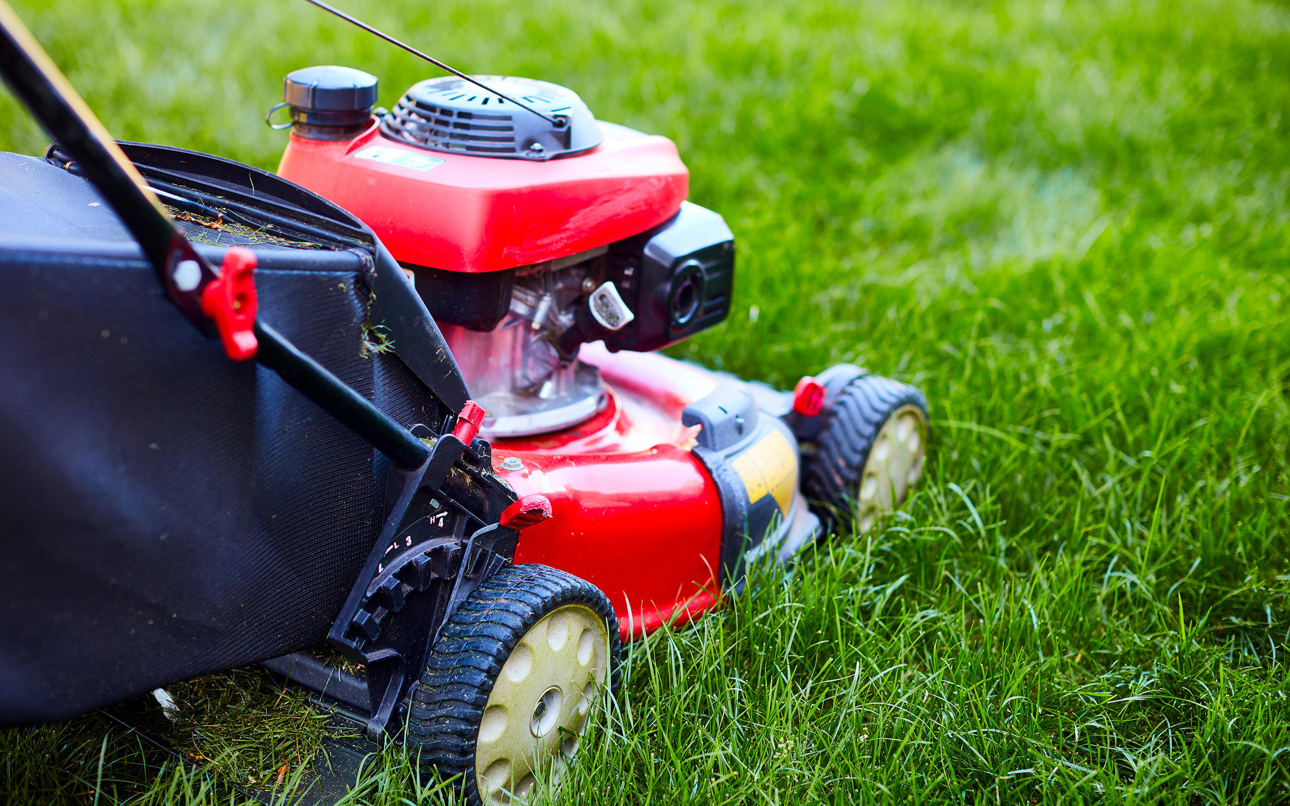 Mario's Landscaping Logo