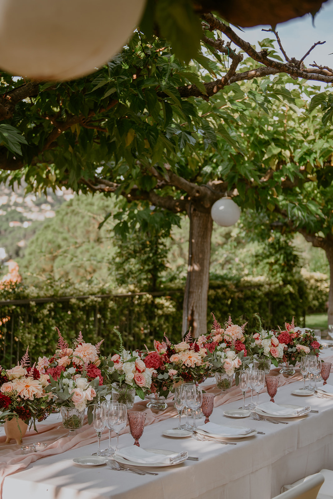 Images Bancells Floristes