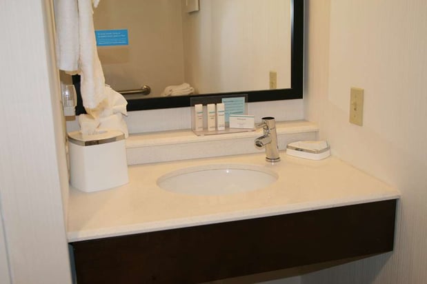 Images Hampton Inn Birch Run/Frankenmuth