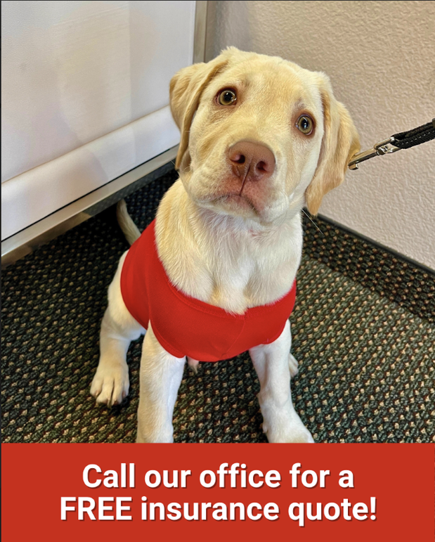 Images Geoff Carlson - State Farm Insurance Agent