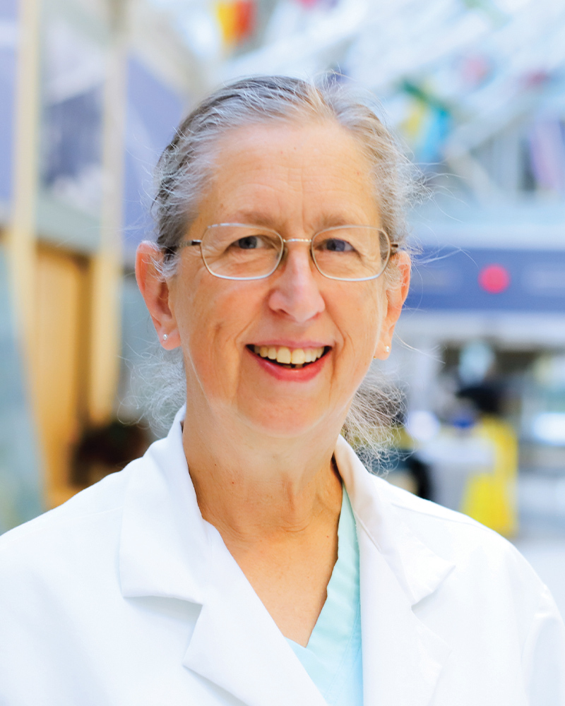 Anne Marie R Cavanagh, MD - Kalamazoo, MI - Hospice & Palliative Medicine, Hospice And Palliative Medicine