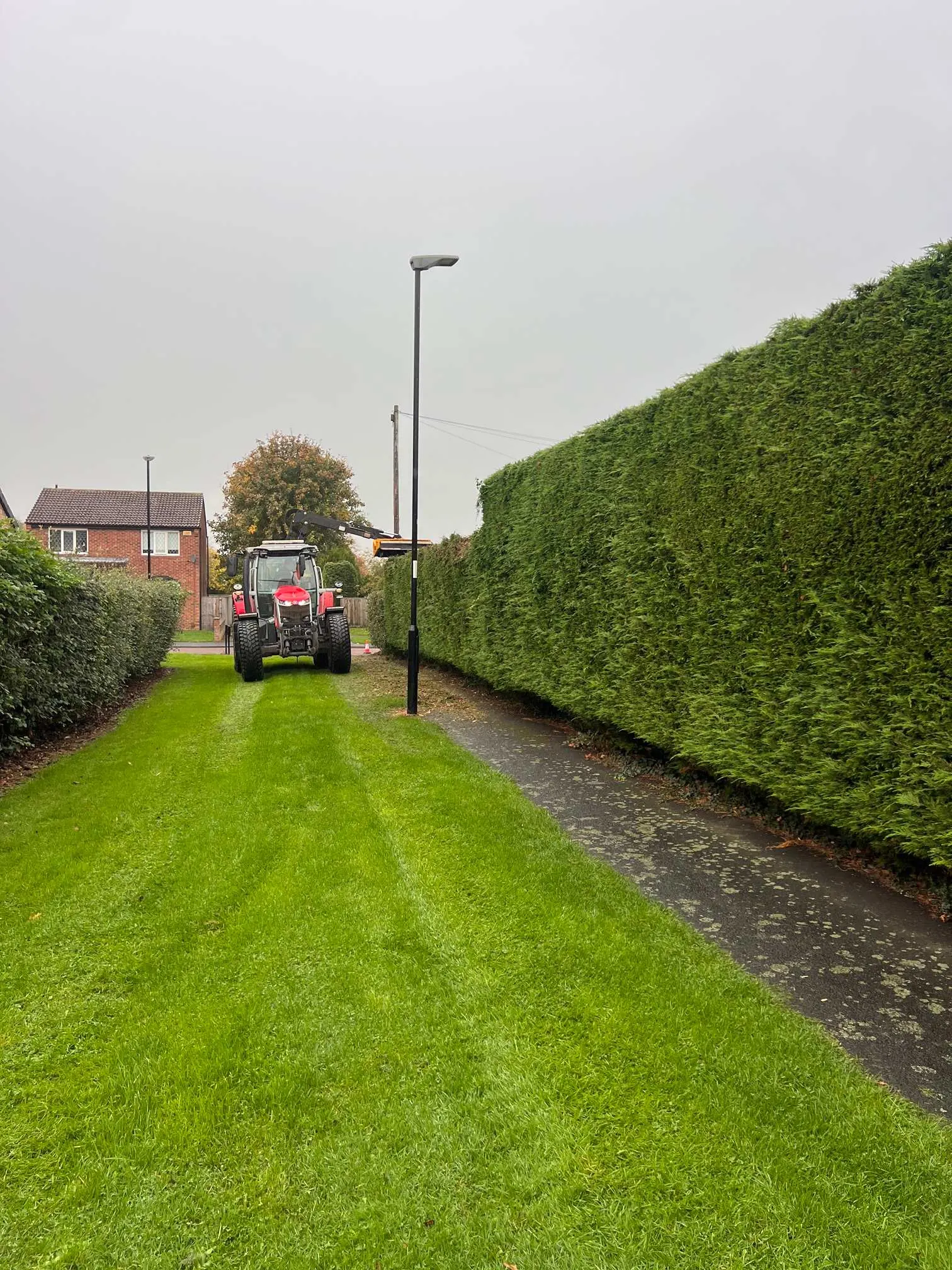 Images Tree Wise Men (NE) Ltd