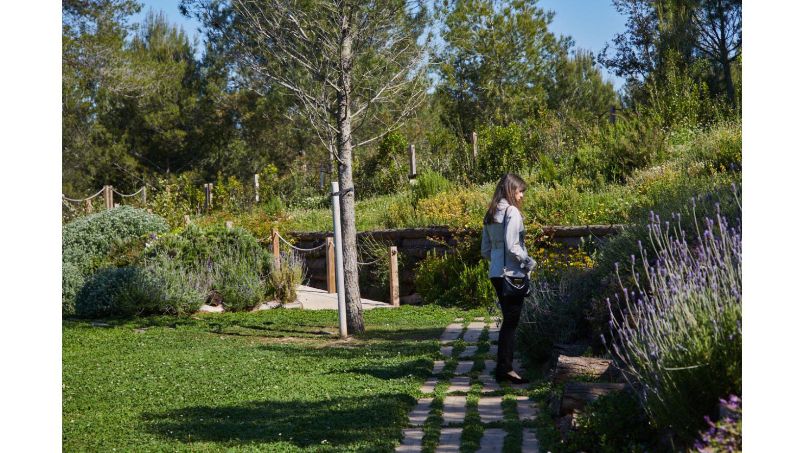 Cementiri Comarcal Roques Blanques 81