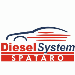 Diesel System Logo
